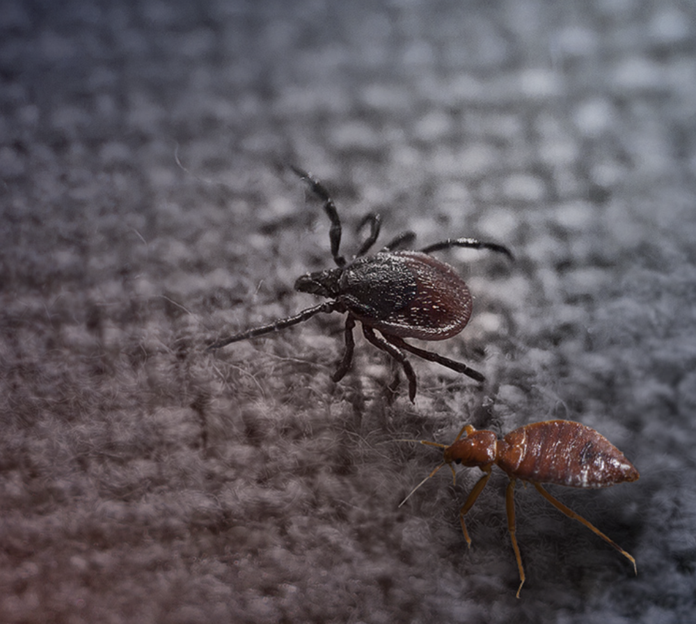 2025-02-19_11-42-21 2025-02-19_11-42-21